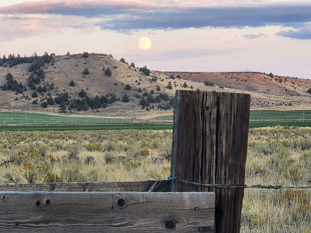 Hay and Grass Delivery Service in Central Oregon