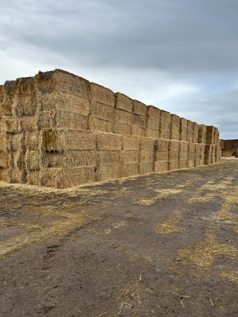 Premium Hay for Delivery at Sabre Ridge Ranch in Crook County, Oregon