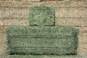 Sabre Ridge Ranch Hay Delivery Services