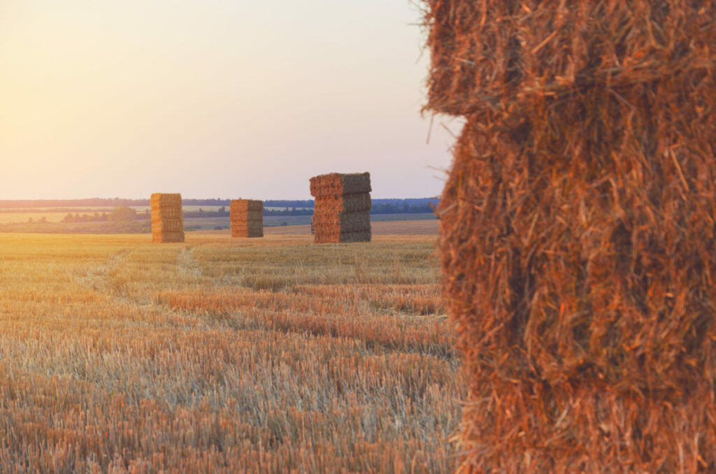 Sabre Ridge Ranch Hay Delivery in Crook County, Oregon